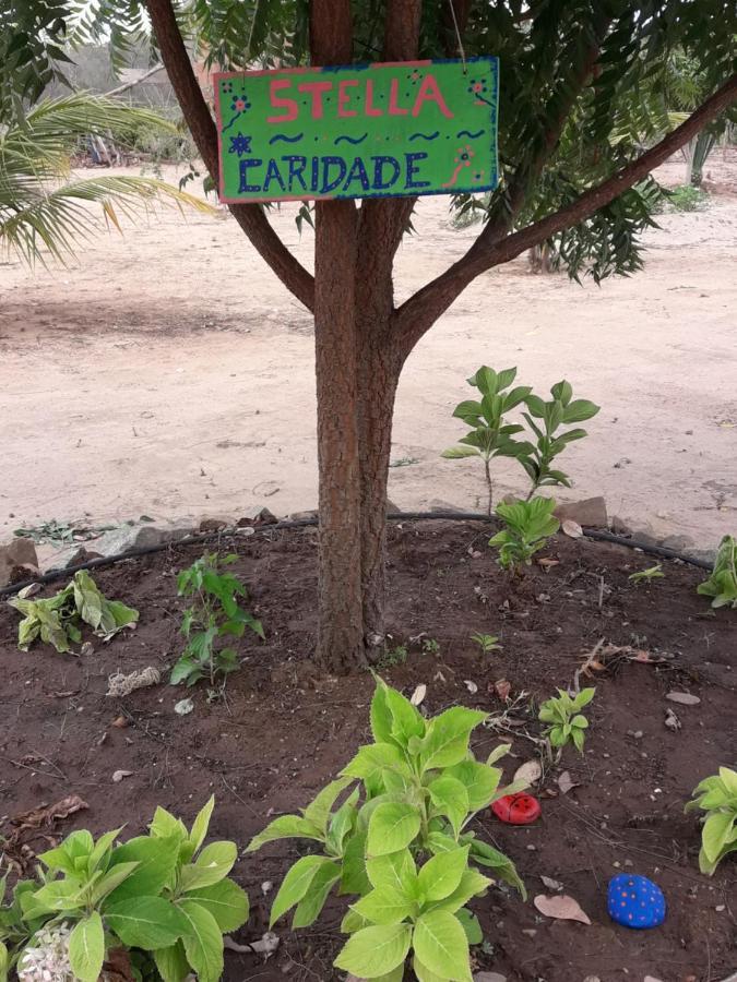 Chale Com Vista Privilegiada Pilões de Dentro Екстериор снимка